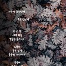 가을의 끝자락에/죽로 김정택 이미지