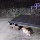 동복오일시장 이미지