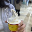 오향목장 | 츄레리아 산 로만 롯데월드몰점: 40년 전통 바르셀로나 츄러스 맛집 팝업 내돈내산 솔직후기