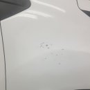 명품덴트칼라 이미지