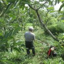 자연 농원 이미지