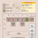 데이지요가원