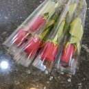 이물비치과의원 이미지