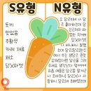 나뭇잎소리 이미지