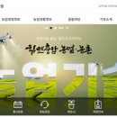 참새 허수아비 이미지