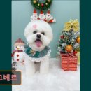 몽끄베르 이미지