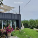 알라딘목장 이미지