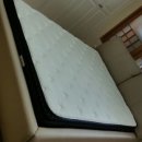 지오노블 이미지