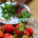 꿈나래어린이영어도서관 이미지