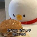 #00 [내돈내산]모바일청첩장_살롱드레터(Salon de letter) 후기