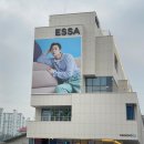 에싸 남양주플래그십스토어 방문기 및 패브릭소파 드레 사용후기