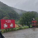 홍천펜션아이리스 | 펜션아이리스(홍천)/애견동반펜션/수영장미온수무료/깔끔해서좋아요(9.27)