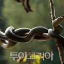 머리날다