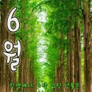 행복가득 이미지