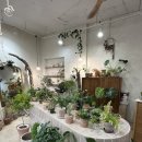그리니드GREENEED