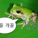청우주단
