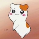 해동각 네이버블로그