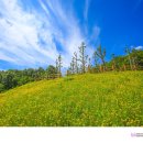 학산근린공원