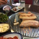 돼야지돼야지잘돼야지