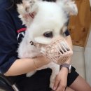 아라종합동물병원 이미지