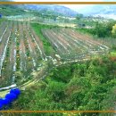 다사농장 이미지