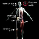 바른체 에이스짐 이미지