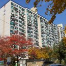 개포신원공인중개사사무소 이미지