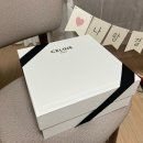 아바 | 셀린느 명품백 미디엄 트리옹프 아바백 내돈내산 후기