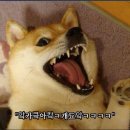 달그릇공방상모점 이미지