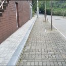 산림욕장 진입로 이미지