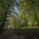 아이리스골프클럽 이미지