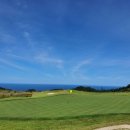 마린스크린골프존 이미지