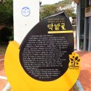 박봉덕닥종이인형갤러리 이미지