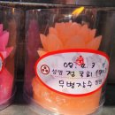 신촌로 110 웨스턴동물의료센터 신촌역 5번출구 | 웨스턴 동물의료센터 추천해요!!(후기)