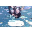 거북이 타코야끼 | 세부 4박 6일 커플 여행 4일차 | 호핑투어 &amp; 마사지 후기, 여행 마지막 날 기록