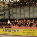 성남시민을위한swo분당파크콘서트(6) 이미지