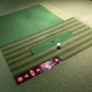 잔디로 스크린골프 이미지