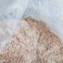 광성호 새우젓갈 이미지