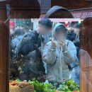 대전도시철도공사 대동역 | 토요일 대전 당일치기 뚜벅이 여행 | 김화칼국수, 홍가네칼국수, 몽심, 성심당 본점, 한화생명볼파크...