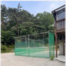 추월산 밸리 펜션 | 담양단체펜션 자연 속에서의 완벽한 하루, 추월산밸리펜션 후기