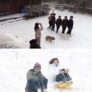 다정민박 이미지