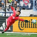 피오비코리아 이미지