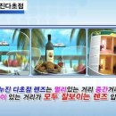 파프리카안경 수영점 이미지