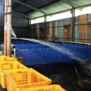 조은수산 이미지