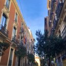 개랑나랑 | 나 영어공부 어플 여러 개 써봤다.｜듀오링고 포함 솔직 후기