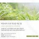 작은여우비 이미지