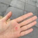 번3동주민센터 회의실 이미지