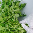 빛나농장 이미지