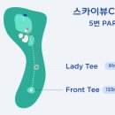 홀인원스크린골프 이미지