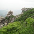 금산-49 이미지